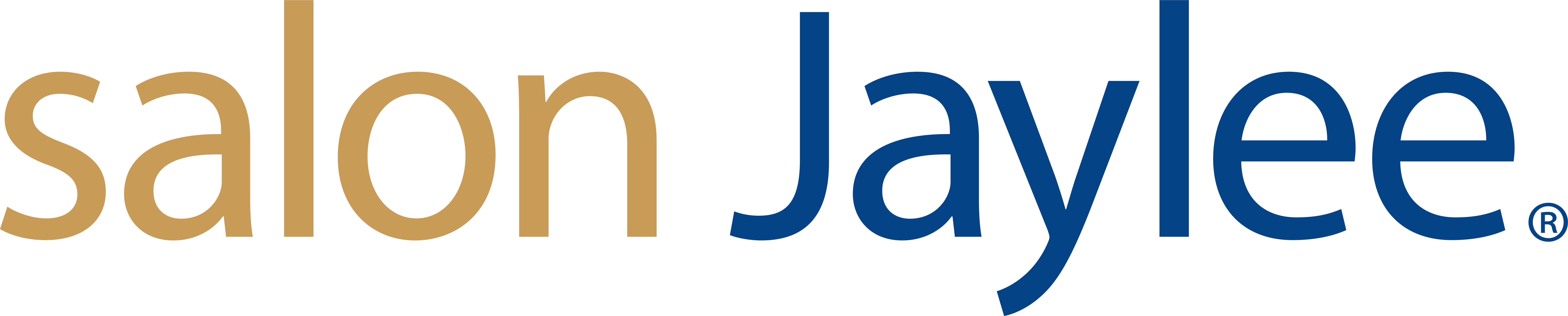 The logo displays the words 'salon Jaylee' with 'salon' in gold and 'Jaylee' in blue, followed by a registered trademark symbol. - Salon Jaylee | The Villages, FL
